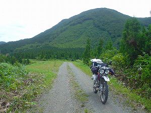 �O�X�R�ѓ�