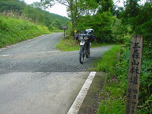 �O�X�R�ѓ�