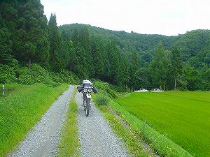 ������ѓ�