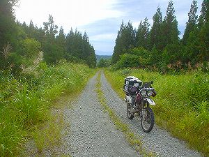 �_��������ѓ�