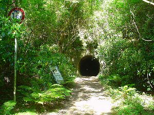 �����݂Ƃ����A1�^ORR