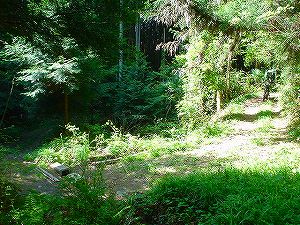 �����݂Ƃ����A2�^ORR