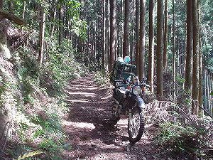 �����݂Ƃ����A3�^ORR