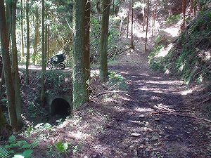 �����݂Ƃ����A4�^ORR