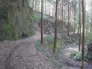 �����݂Ƃ����A5�^ORR