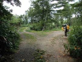 �L�����{���ѓ�