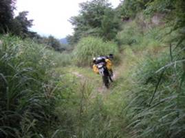 �L�����{���ѓ�