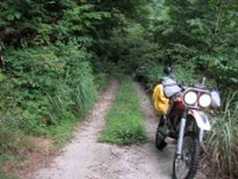 �L�����{���ѓ�