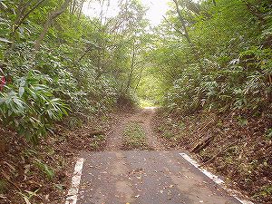 ������J��(����)4�^ORR