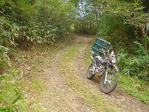 ������J��(����)5�^ORR