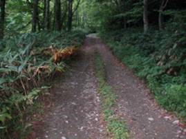 �\���R�ѓ�