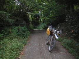 �\���R�ѓ�