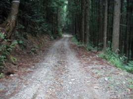 �b���J�ѓ�