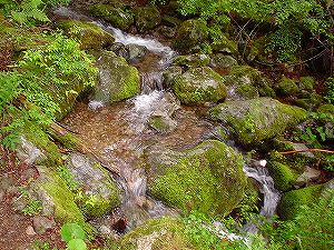 �l���\�쌹���ѓ�7�^ORR