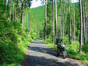 �郖�X�ѓ�6�^ORR