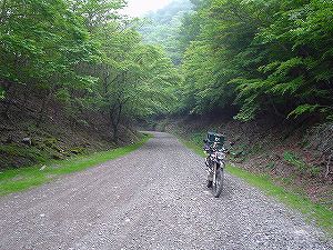 ���R�X�[�p�[�ѓ��i���ۓ��j1�^ORR