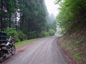 ���R�X�[�p�[�ѓ��i���ۓ��j2�^ORR