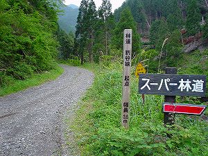 ���R�X�[�p�[�ѓ��i���ۓ��j6�^ORR