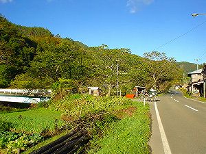 ���c��1�^ORR