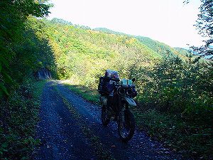 ���c��3�^ORR