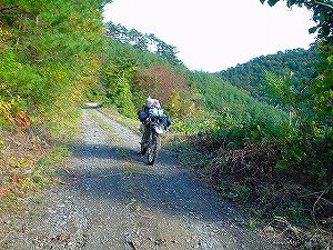 ���c��6�^ORR