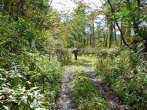 �H�ۓ��A3�^ORR