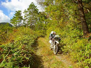 �H�ۓ��A5�^ORR