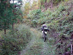 �H�ۓ��A6�^ORR