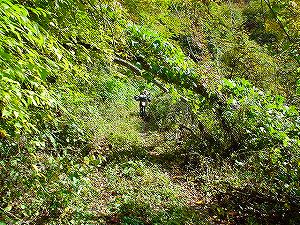 �H�ۓ��A7�^ORR