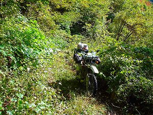 �H�ۓ��B1�^ORR