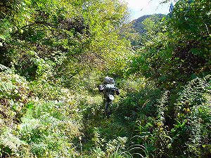 �H�ۓ��B2�^ORR