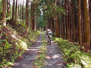 �H�ۓ��B6�^ORR