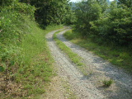 �����������ؐ�