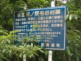 ���m���ђJ�ѓ�