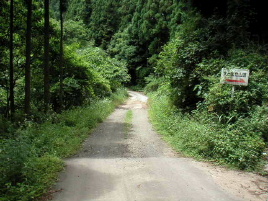 ���m���ђJ�ѓ�