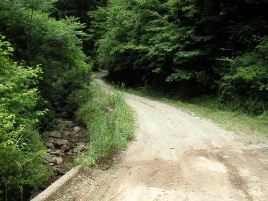 ���m���ђJ�ѓ�