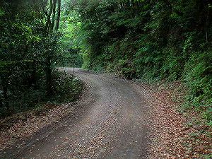 ���n����ѓ�4�^ORR