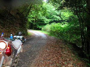 ���n����ѓ�5�^ORR