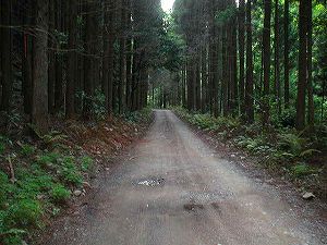 ���n����ѓ�7�^ORR