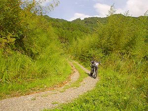 ������u���ؖ؍����3�^ORR