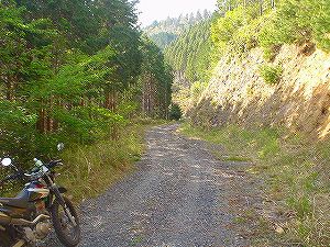 ���R�ѓ�4�^ORR