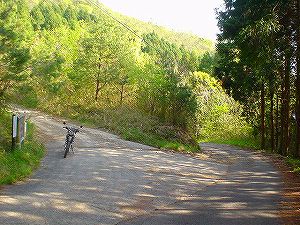 ���R�ѓ�7�^ORR