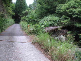 ���[�q�ѓ�