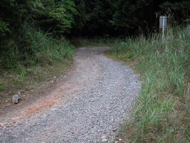 ���[�q�ѓ�