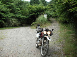 ���[�q�ѓ�