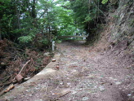 ���[�q�ѓ�