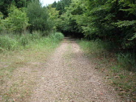 �o�ǎx���ѓ�