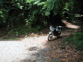 �o�ǎx���ѓ�