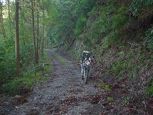 �[�������ѓ�2�^ORR