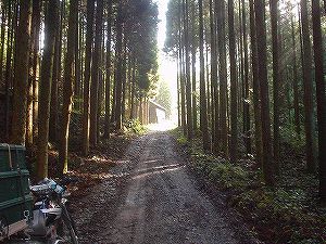 �[�������ѓ�5�^ORR